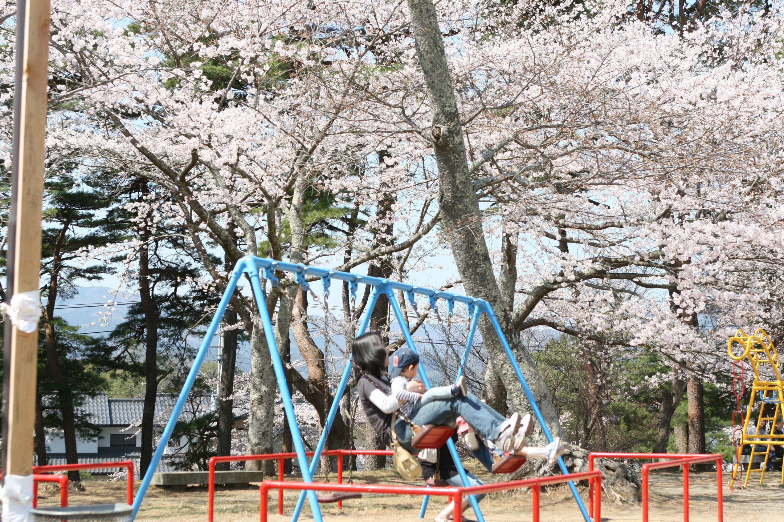 img20210129100220259648.jpg